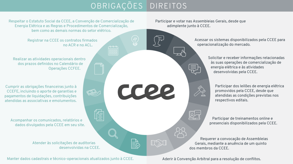 grafico ccee valuata